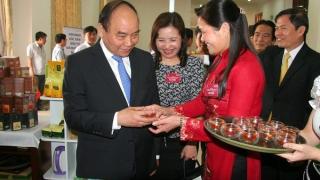 Chè Sạch Tam Đường vinh dự nhận chứng nhận đầu tư