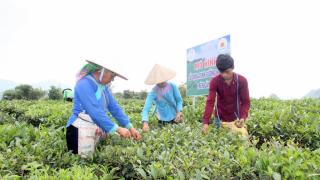 Đảm bảo nguồn nông sản sạch cung ứng ra thị trường (10/4/2019)