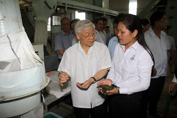 Bà Nguyễn Thị Loan giới thiệu công nghệ sản xuất chè sạch SenCha, TenCha hiện đại từ Nhật Bản